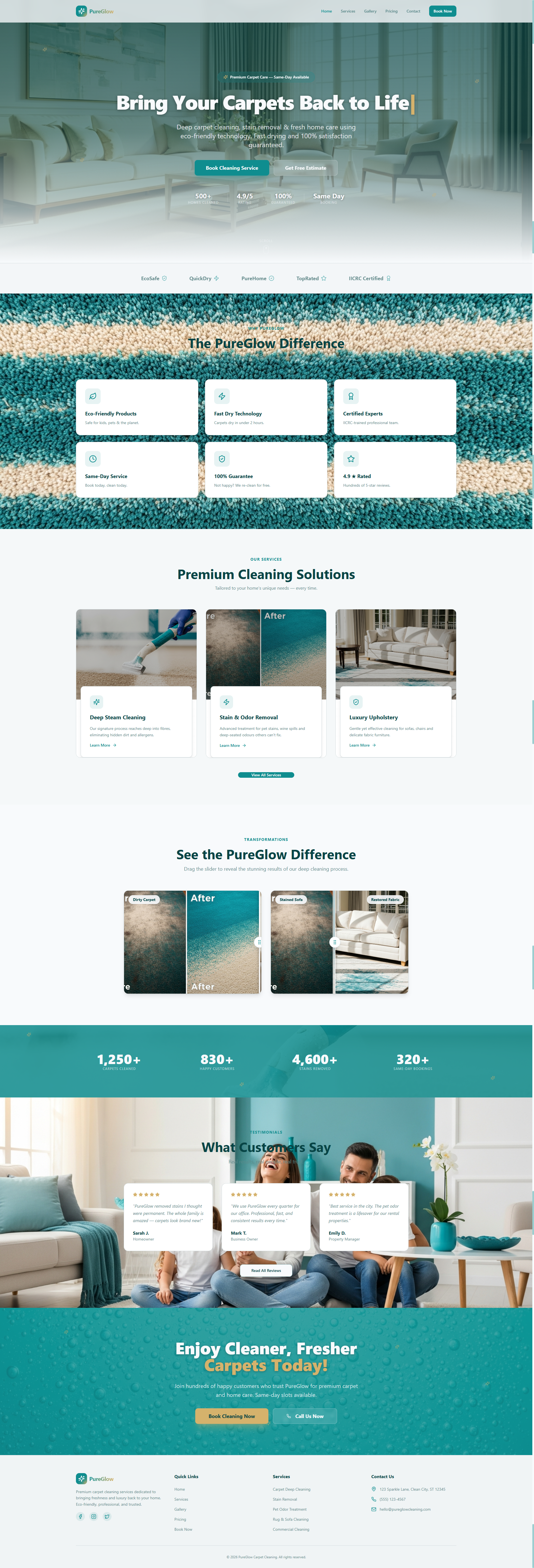 carpet cleaning Landing Page Full View